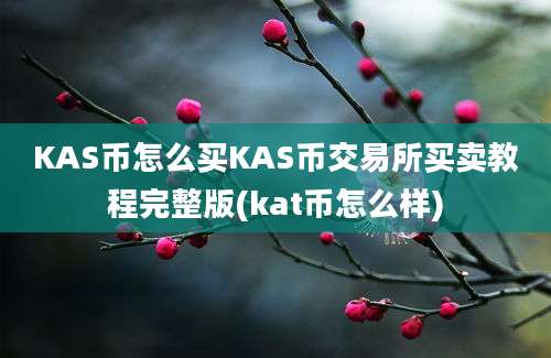 KAS币怎么买KAS币交易所买卖教程完整版(kat币怎么样)