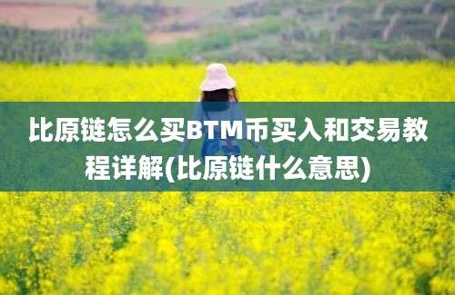 比原链怎么买BTM币买入和交易教程详解(比原链什么意思)