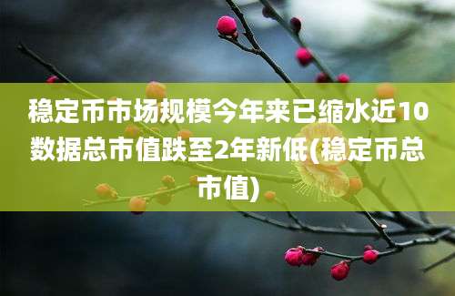 稳定币市场规模今年来已缩水近10数据总市值跌至2年新低(稳定币总市值)