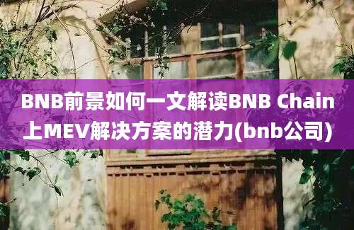 BNB前景如何一文解读BNB Chain上MEV解决方案的潜力(bnb公司)