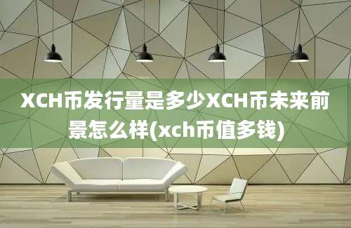 XCH币发行量是多少XCH币未来前景怎么样(xch币值多钱)