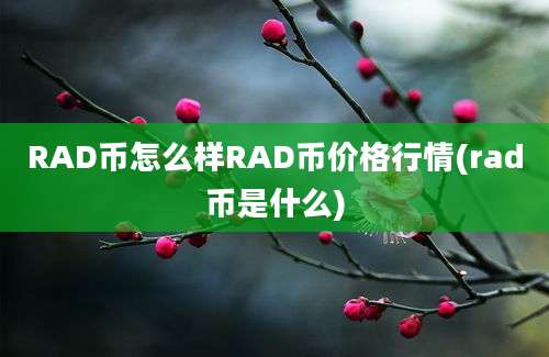 RAD币怎么样RAD币价格行情(rad币是什么)