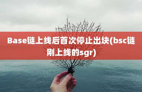 Base链上线后首次停止出块(bsc链刚上线的sgr)