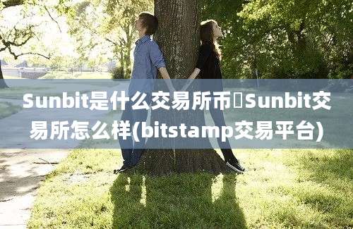 Sunbit是什么交易所币昇Sunbit交易所怎么样(bitstamp交易平台)