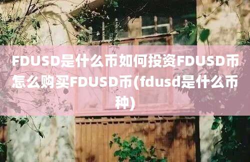 FDUSD是什么币如何投资FDUSD币怎么购买FDUSD币(fdusd是什么币种)