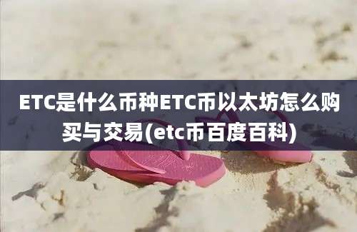 ETC是什么币种ETC币以太坊怎么购买与交易(etc币百度百科)