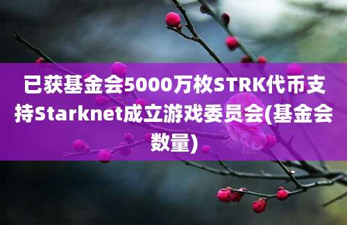 已获基金会5000万枚STRK代币支持Starknet成立游戏委员会(基金会数量)