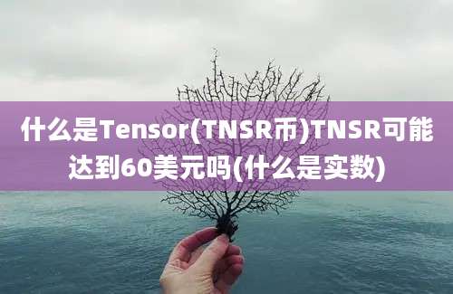 什么是Tensor(TNSR币)TNSR可能达到60美元吗(什么是实数)