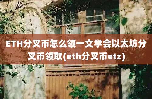 ETH分叉币怎么领一文学会以太坊分叉币领取(eth分叉币etz)