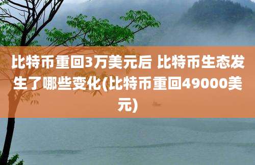 比特币重回3万美元后 比特币生态发生了哪些变化(比特币重回49000美元)