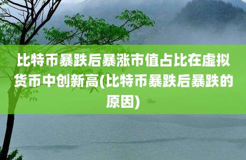 比特币暴跌后暴涨市值占比在虚拟货币中创新高(比特币暴跌后暴跌的原因)