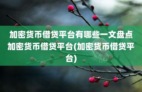 加密货币借贷平台有哪些一文盘点加密货币借贷平台(加密货币借贷平台)