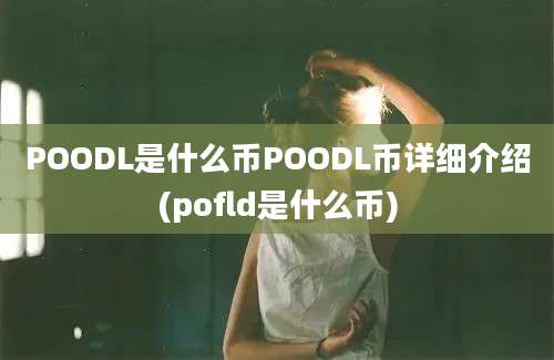 POODL是什么币POODL币详细介绍(pofld是什么币)