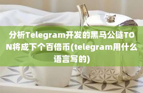 分析Telegram开发的黑马公链TON将成下个百倍币(telegram用什么语言写的)