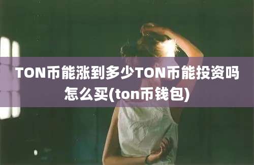 TON币能涨到多少TON币能投资吗怎么买(ton币钱包)