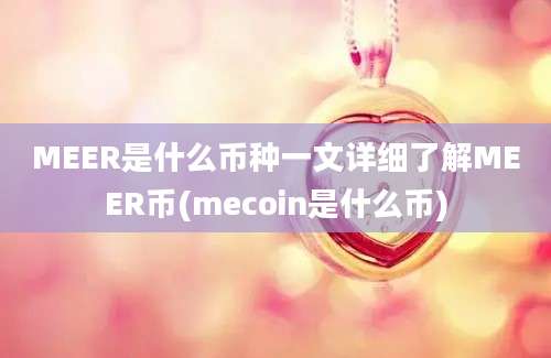 MEER是什么币种一文详细了解MEER币(mecoin是什么币)