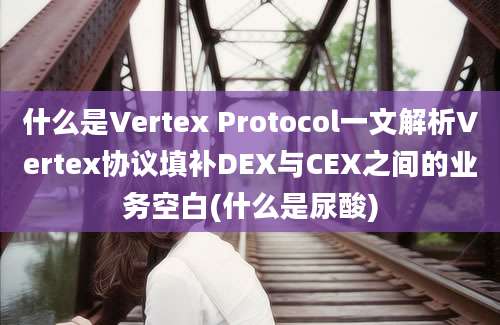 什么是Vertex Protocol一文解析Vertex协议填补DEX与CEX之间的业务空白(什么是尿酸)