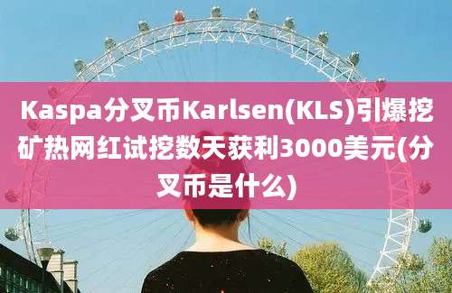 Kaspa分叉币Karlsen(KLS)引爆挖矿热网红试挖数天获利3000美元(分叉币是什么)