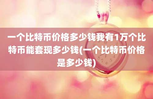 一个比特币价格多少钱我有1万个比特币能套现多少钱(一个比特币价格是多少钱)