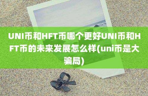 UNI币和HFT币哪个更好UNI币和HFT币的未来发展怎么样(uni币是大骗局)