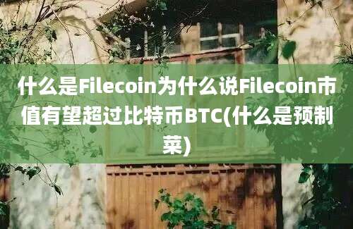 什么是Filecoin为什么说Filecoin市值有望超过比特币BTC(什么是预制菜)