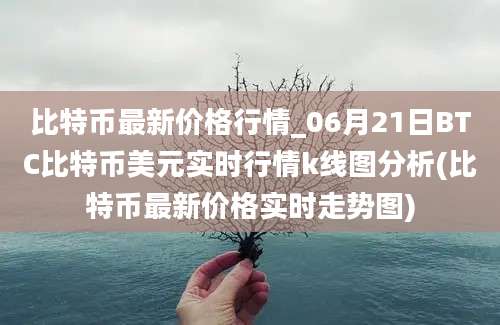 比特币最新价格行情_06月21日BTC比特币美元实时行情k线图分析(比特币最新价格实时走势图)