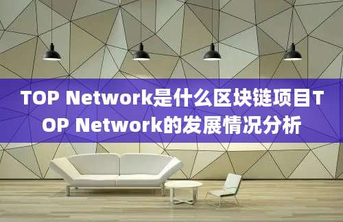 TOP Network是什么区块链项目TOP Network的发展情况分析