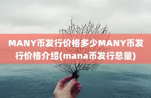 MANY币发行价格多少MANY币发行价格介绍(mana币发行总量)