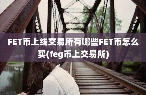 FET币上线交易所有哪些FET币怎么买(feg币上交易所)