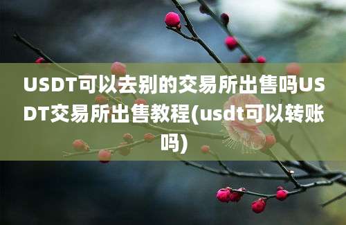 USDT可以去别的交易所出售吗USDT交易所出售教程(usdt可以转账吗)