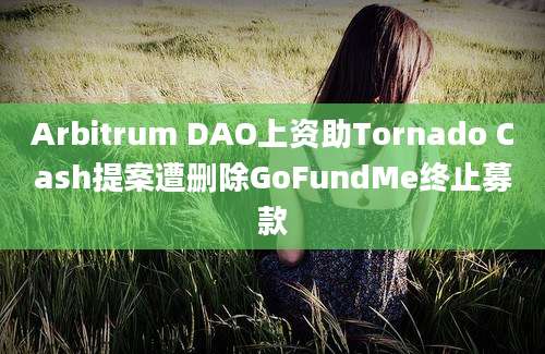 Arbitrum DAO上资助Tornado Cash提案遭删除GoFundMe终止募款