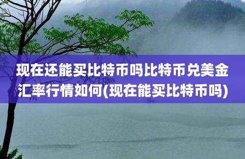 现在还能买比特币吗比特币兑美金汇率行情如何(现在能买比特币吗)