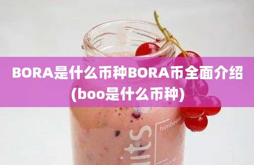 BORA是什么币种BORA币全面介绍(boo是什么币种)