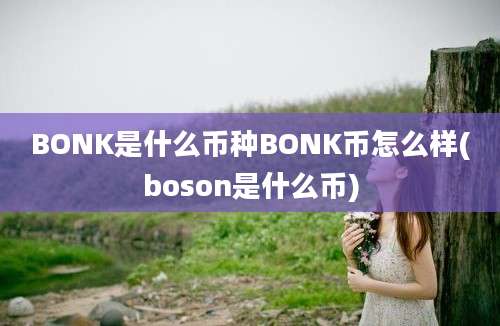 BONK是什么币种BONK币怎么样(boson是什么币)