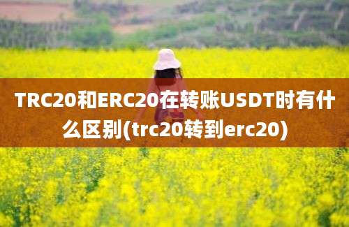 TRC20和ERC20在转账USDT时有什么区别(trc20转到erc20)