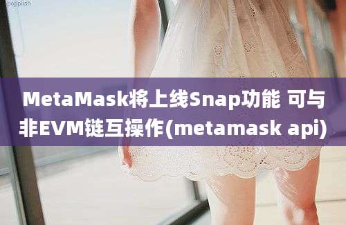 MetaMask将上线Snap功能 可与非EVM链互操作(metamask api)