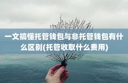 一文搞懂托管钱包与非托管钱包有什么区别(托管收取什么费用)