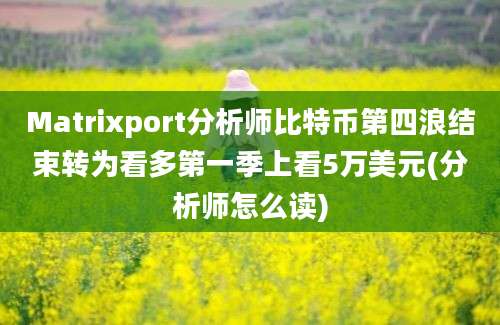 Matrixport分析师比特币第四浪结束转为看多第一季上看5万美元(分析师怎么读)