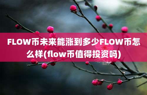 FLOW币未来能涨到多少FLOW币怎么样(flow币值得投资吗)