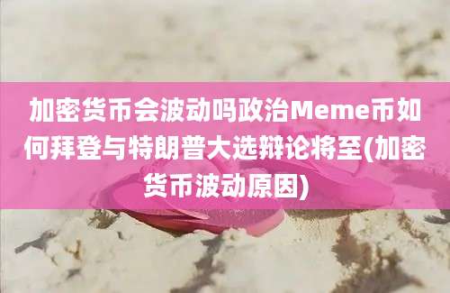 加密货币会波动吗政治Meme币如何拜登与特朗普大选辩论将至(加密货币波动原因)