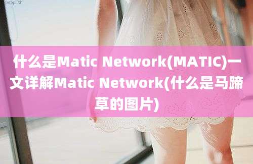 什么是Matic Network(MATIC)一文详解Matic Network(什么是马蹄草的图片)