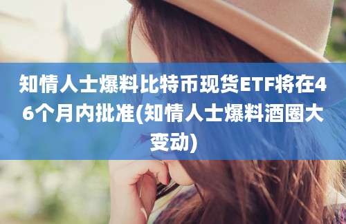 知情人士爆料比特币现货ETF将在46个月内批准(知情人士爆料酒圈大变动)