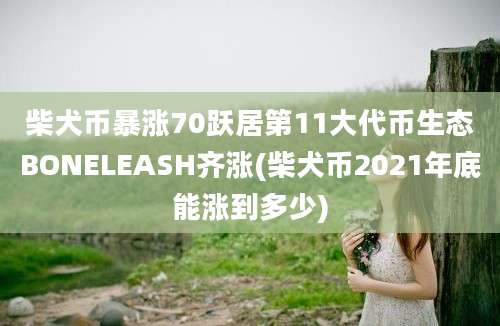 柴犬币暴涨70跃居第11大代币生态BONELEASH齐涨(柴犬币2021年底能涨到多少)