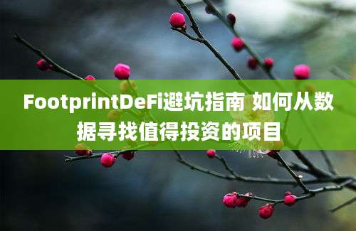 FootprintDeFi避坑指南 如何从数据寻找值得投资的项目