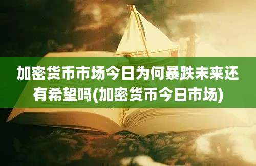 加密货币市场今日为何暴跌未来还有希望吗(加密货币今日市场)