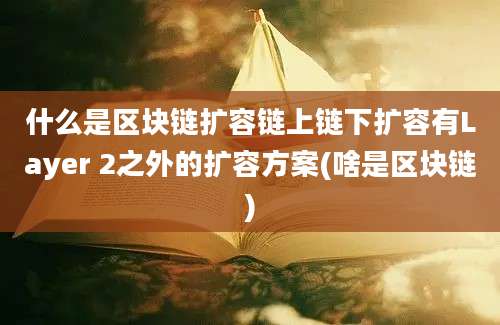 什么是区块链扩容链上链下扩容有Layer 2之外的扩容方案(啥是区块链)