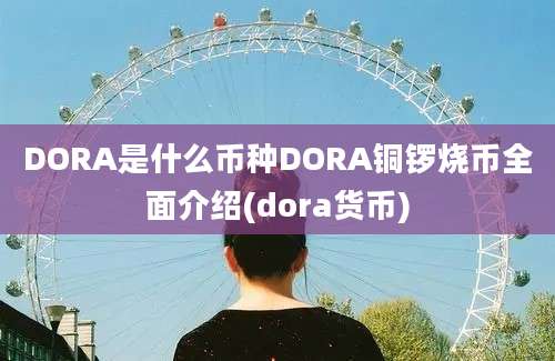 DORA是什么币种DORA铜锣烧币全面介绍(dora货币)