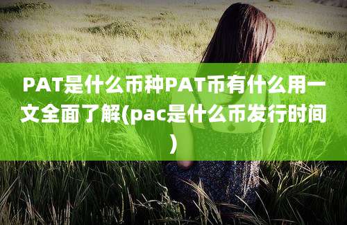 PAT是什么币种PAT币有什么用一文全面了解(pac是什么币发行时间)