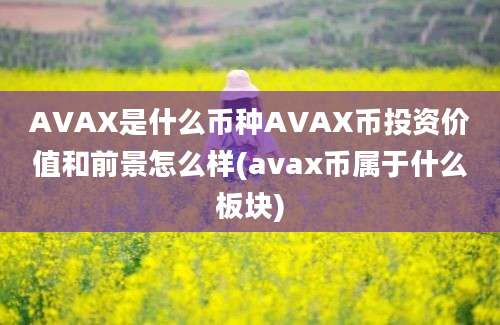 AVAX是什么币种AVAX币投资价值和前景怎么样(avax币属于什么板块)