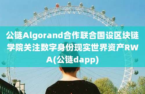 公链Algorand合作联合国设区块链学院关注数字身份现实世界资产RWA(公链dapp)